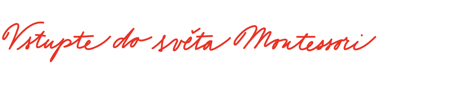 Úvod do Montessori (3-6) online