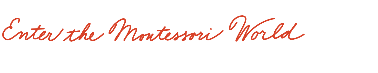 Montessori Introduction (3-6) online